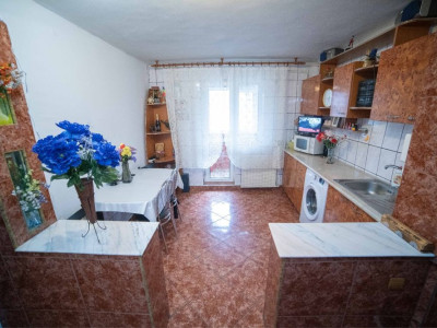 APARTAMENT 2 CAMERE - DECOMANDAT - PIATA DELFINULUI