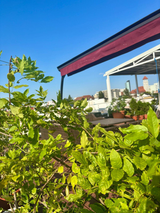 Apartament 5 camere+Terasa 120 mp+garaj -zona - Primaria Sector 1 -Banu Manta