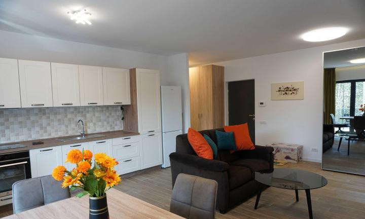 Apartament 2 camere Baneasa-Iancu Nicolae