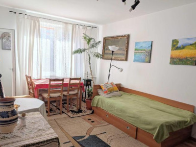 Apartament - 2 camere - decomandat - Calea Mosilor 