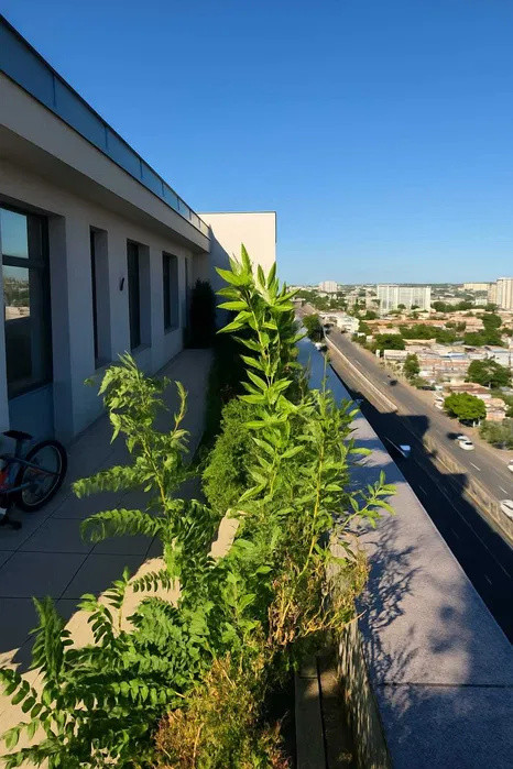 Penthouse - 5 camere - decomandat - Mihai Bravu 