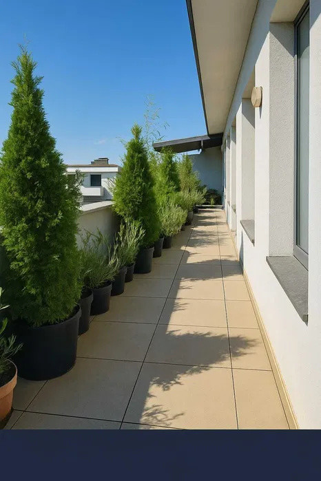 Penthouse - 5 camere - decomandat - Mihai Bravu 