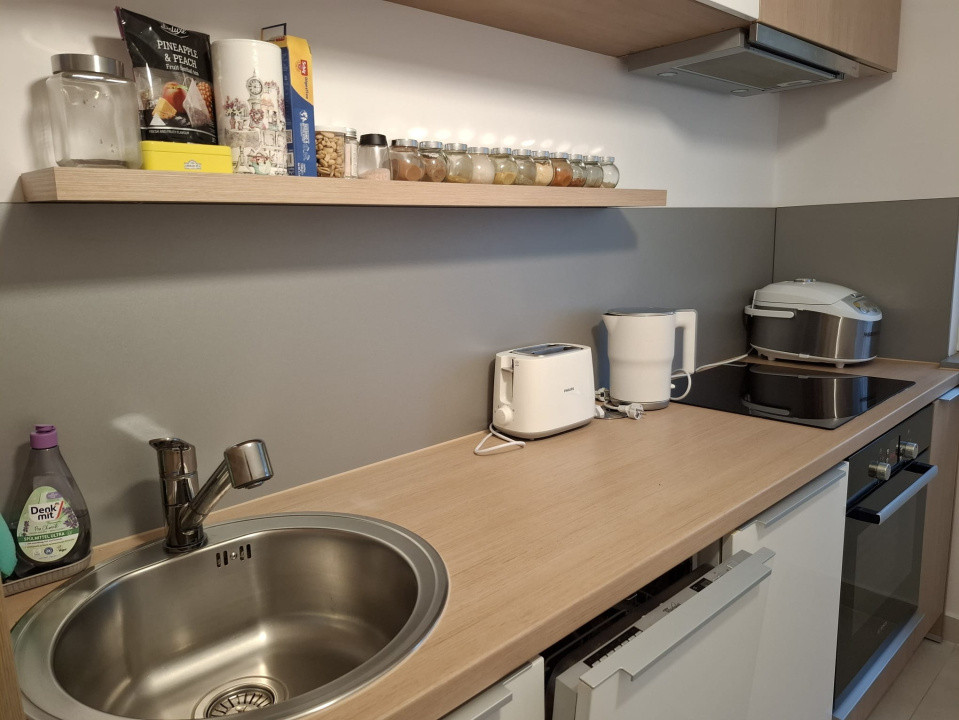 Garsoniera - decomandata - Camil Ressu 