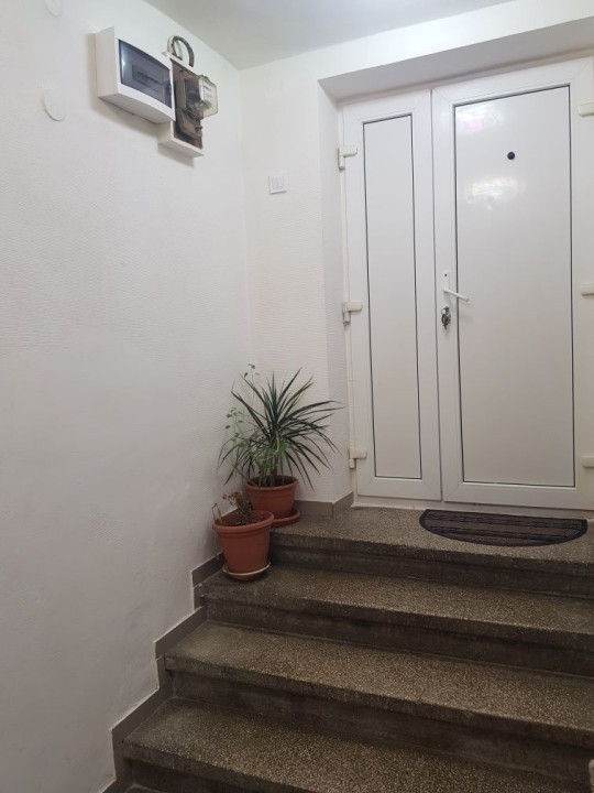 APARTAMENT 2 CAMERE - CURTE COMUNA - MOSILOR