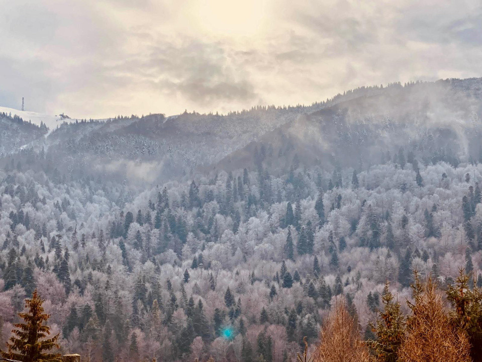 Vilă spațioasă -7 camere-vedere panoramică-Azuga