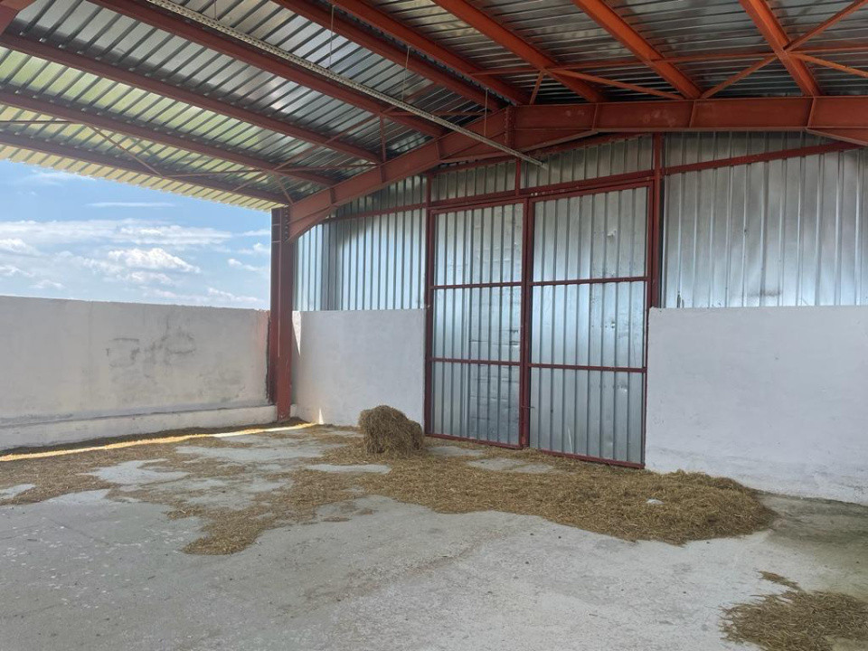 Fermă modernă  de vânzare – județul Argeș 