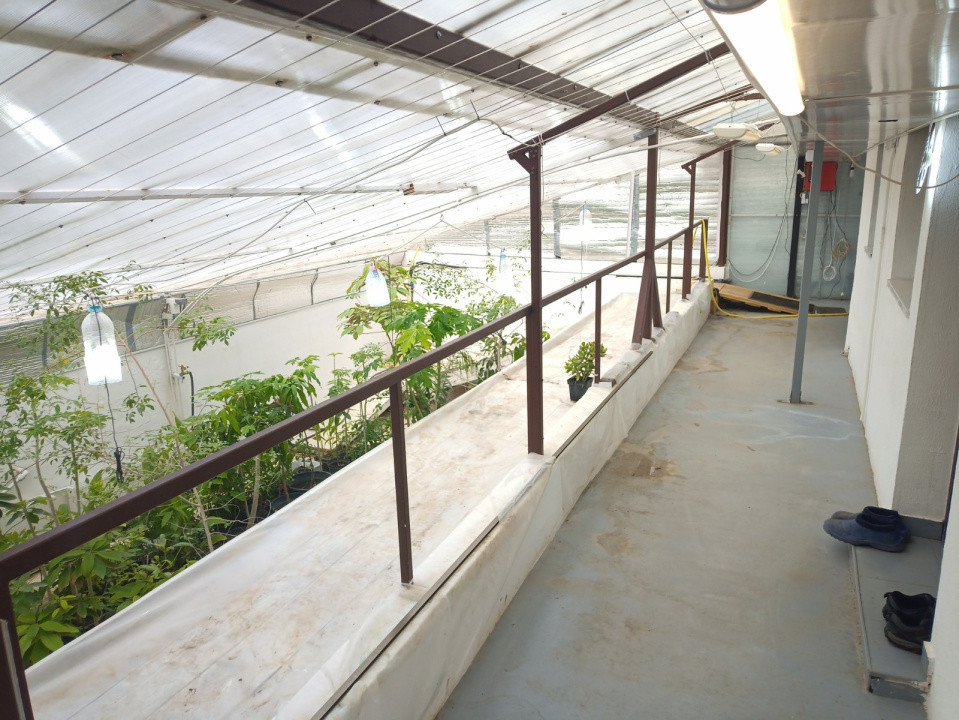 Casa Rahova -Alexandriei ,teren 560 MP