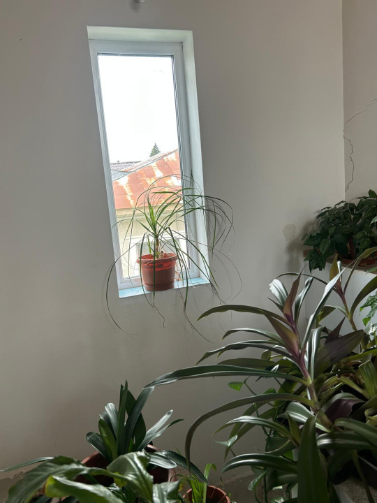 Casa + teren -centrala proprie -Cornetu -Ilfov