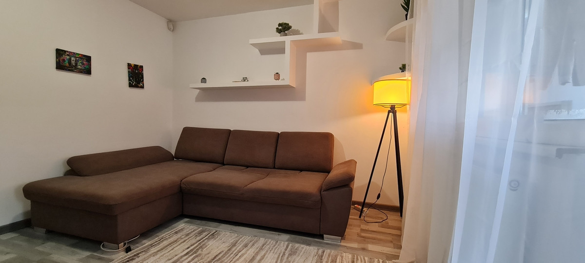 Apartament 2 camere - Banu Manta -Victoriei, Kiseleff 