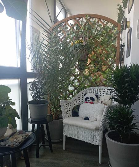 Apartament -3 camere -decomandat-Zona Colentina