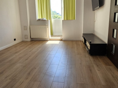 Apartament 2 camere/Delta vacaresti