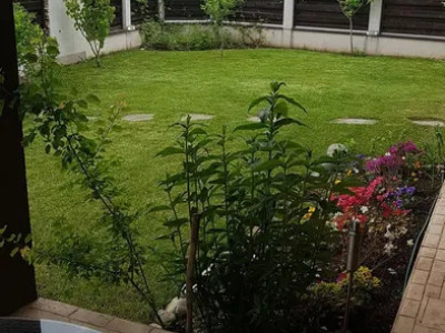 Inchiriere casa/vila Mogosoaia | Parcare