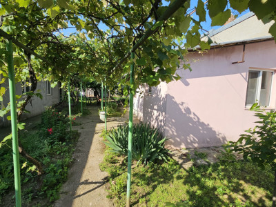 Teren + casa -zona Ghencea/Dr Taberei 