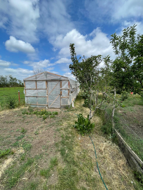 Casa+Teren-STRADAL-1500MP-VIE-SERA-VALEA-RAMNICULUI