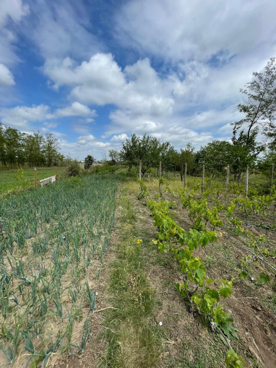 Casa+Teren-STRADAL-1500MP-VIE-SERA-VALEA-RAMNICULUI